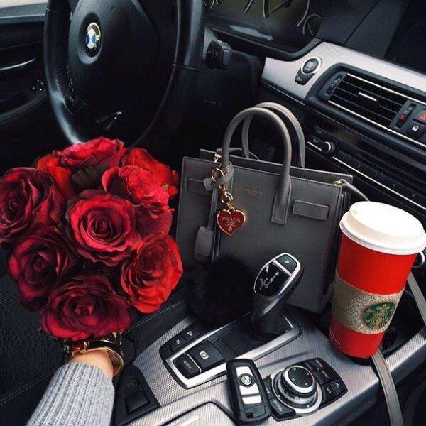 Car/Vehicle Accessories